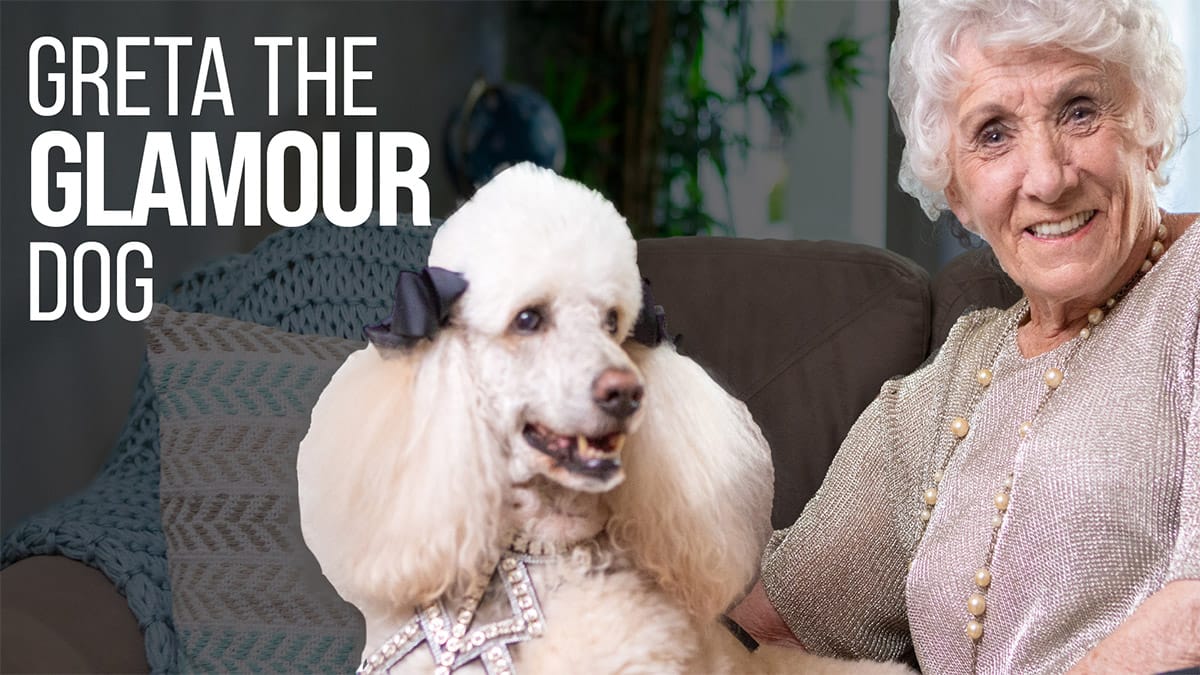  Greta The Glamour Dog