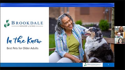 Best Pets for Older Adults