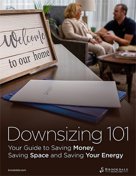 downsizing ebook cover